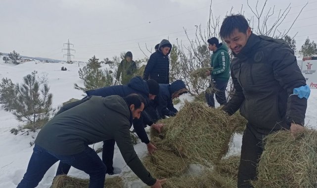 Öğrenciler yaban hayvanları için yem bıraktı