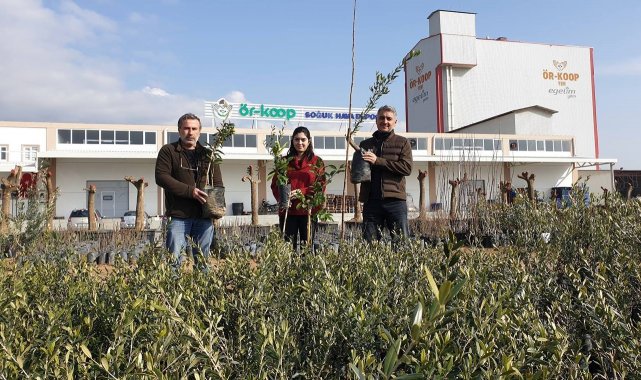 ÖRKOOP'tan bölge tarımına kaliteli fidan desteği