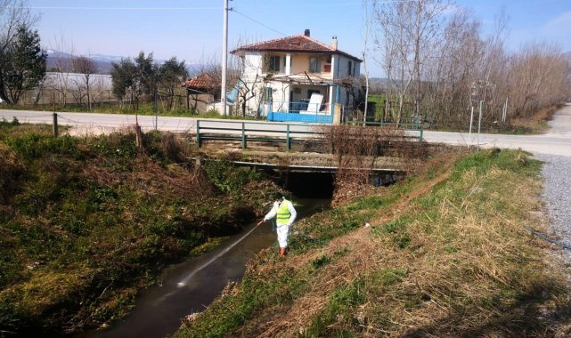 Bafra Belediyesi'nden sivrisineklere karşı larva mücadelesi