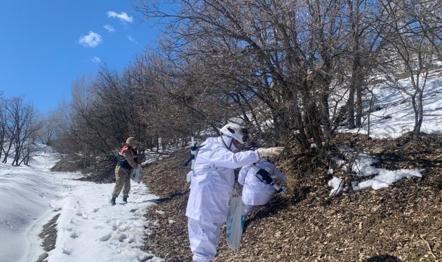 Bingöl'de jandarma ve polis ekipler doğaya yem bıraktı