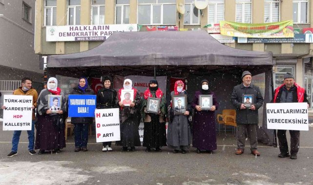 Muş'ta evlat nöbeti tutan ailelerin sayısı 29'a yükseldi