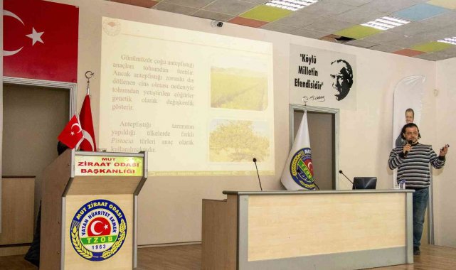 Mut'ta üreticilere Antep Fıstığı Yetiştiriciliği eğitimi verildi
