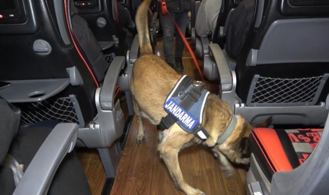 Narkotik köpeği 'Tepe' uyuşturucu madde buldu