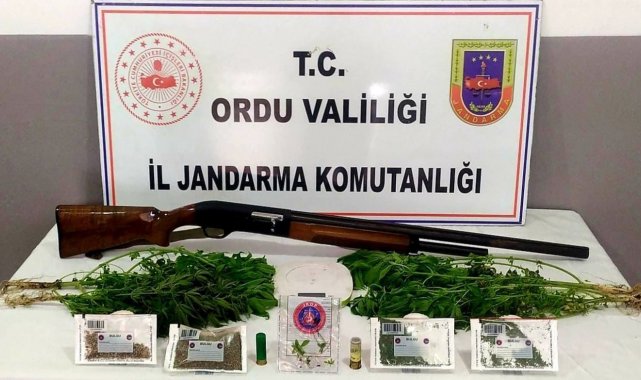 Ordu'da uyuşturucu mücadelesi sürüyor