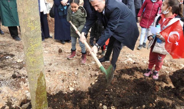 Şahinbey'de ağaç dikim töreni yapıldı