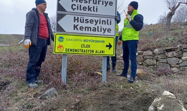 Sakarya'da güzergah ve yön gösteren tabelalar yenileniyor