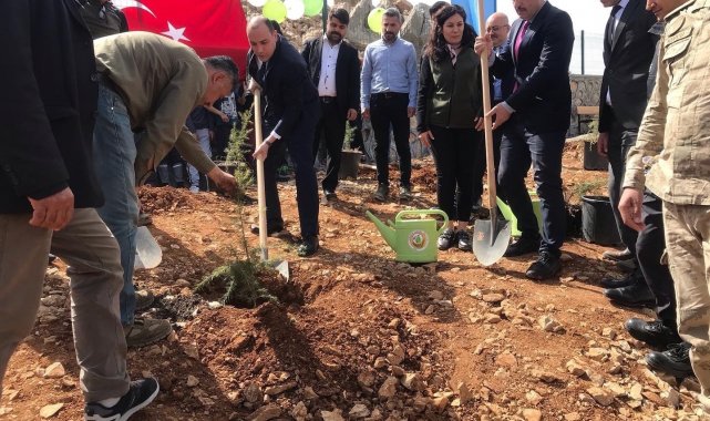 Tut'ta fidanlar toprakla buluştu