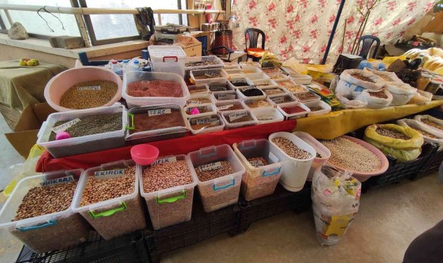 Ata tohumları satarak geçimini sağlıyor