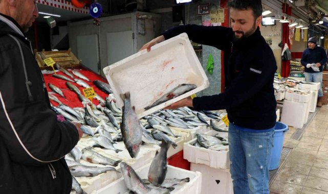Balık tezgahları kültür balıklarına kaldı