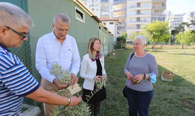 Başkan Tarhan adına zeytin fidanı dikildi