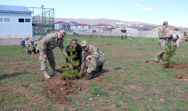 Bingöl'de jandarma şehitler anısına fidan dikti