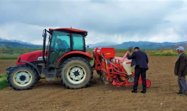 Erzincan'da ayçiçeği tohumları toprakla buluştu