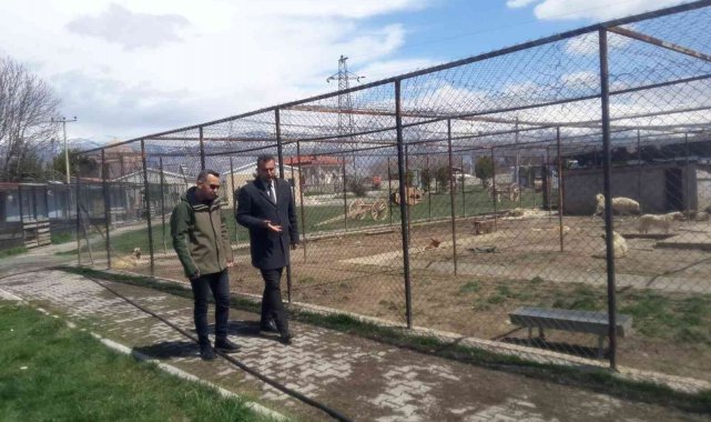 Erzincan'da hayvan bakımevi denetlendi