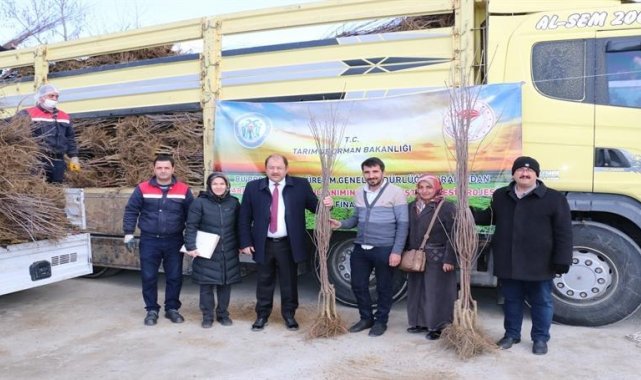 Erzincan'da meyvecilik sektörüne yatırımlar sürüyor