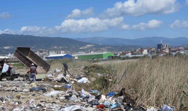 Hatay'da kuşların barınma alanlarına çöp ve moloz dökülüyor