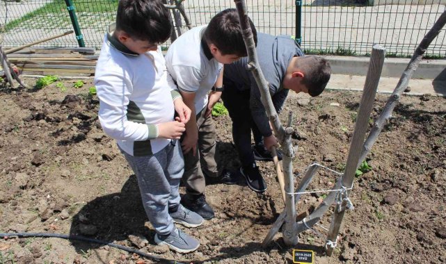 İlkokul öğrencisinden gülümseten yorum: "Yetiştirdiğim domateslerden menemen yapacağım"