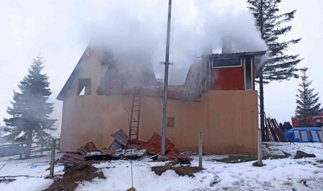 Ordu'da tomruk deposunda korkutan yangın