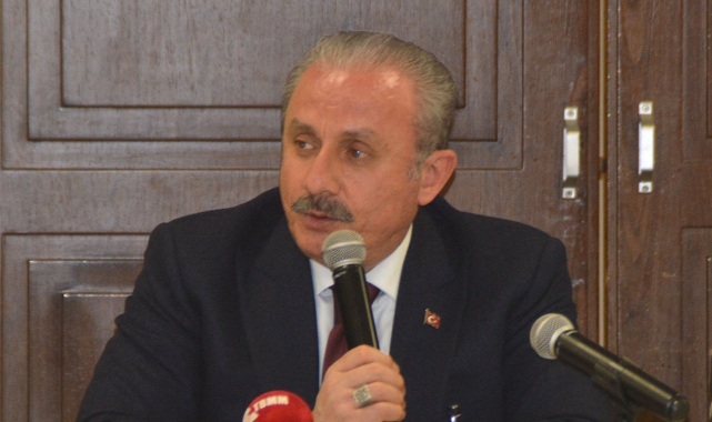 TBMM Başkanı Şentop'tan 'troll' açıklaması: Bu konuyu kapatmayacağım