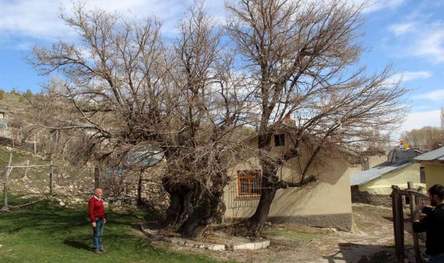 Yedi asırdır ayakta, zamana meydan okuyor
