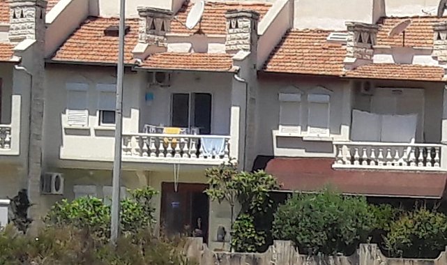 Bozyazı'da sokak köpekleri tehlike saçıyor