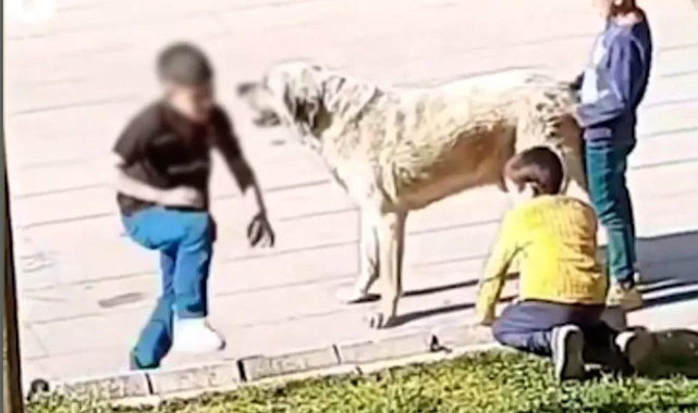 ''Çocukları zehirlesek sıkıntı olur mu ?''
