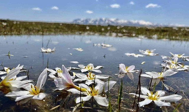 Doğu'da hava soğuyacak