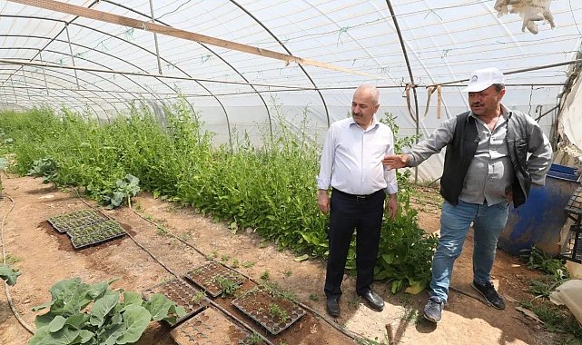 Gebze Belediyesi'nden çiftçilere 200 bin fide desteği