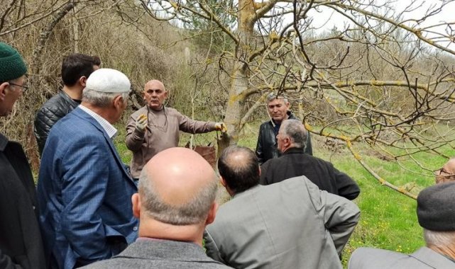 Kastamonu'da üreticilere 'meyve ağaçlarında budama ve aşılama' eğitimi verildi