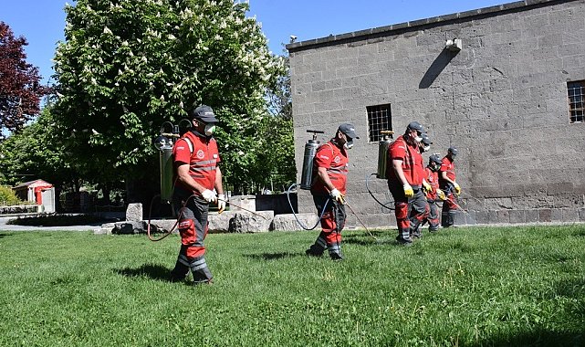 Kocasinan'dan huzurlu bir yaz için haşere ile mücadele