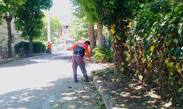 Körfez'de bahar temizliği