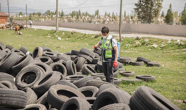 Kütahya'da karasinekle mücadele