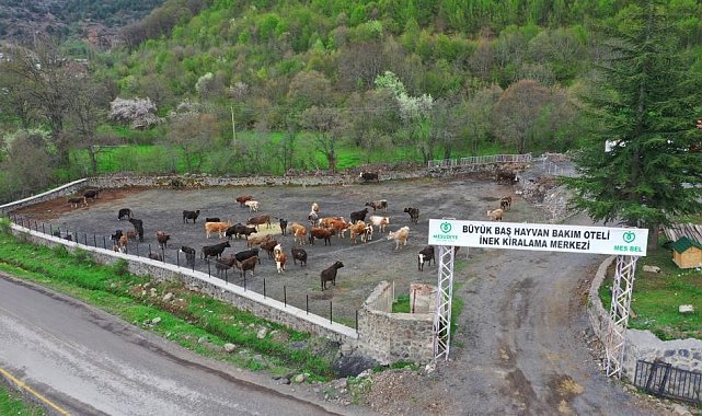 Mesudiye'ye Hayvan Organize İhtisas Bölgesi müjdesi