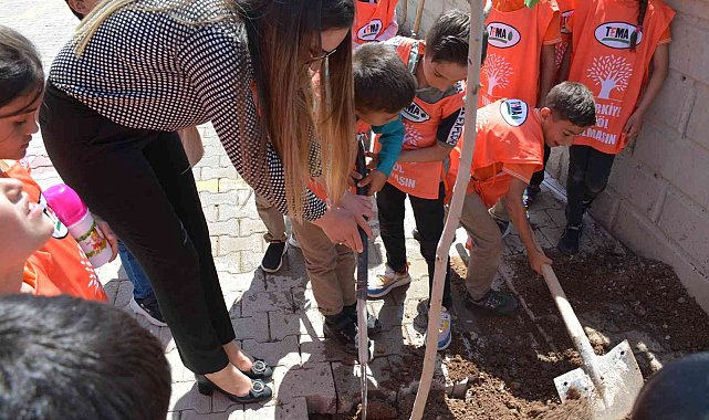 Silopi'de öğrenciler tiyatrodan kazandıkları parayla ağaç dikti