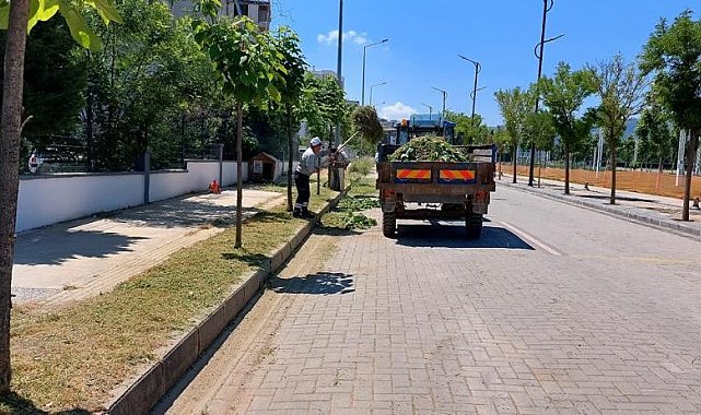 Yunusemre'de ot biçme çalışmaları devam ediyor