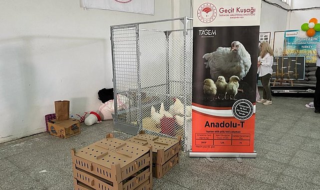 'Anadolu-T', Tarla Günü'nde görücüye çıktı