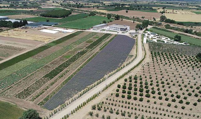 A'dan Z'ye aromaterapi BAÇEM'de konuşulacak