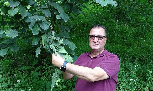 Arslantürk: "Pandemi fındık tarımını bize yeniden öğretti"