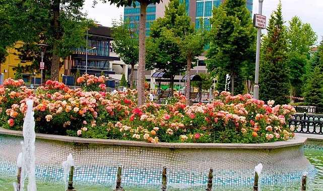 Büyükşehir belediyesinden 'En güzel bahçe' Yarışması