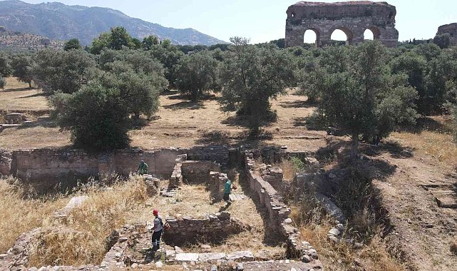 Efeler'den Tralleis Antik Kenti'nde kuru ot temizliği