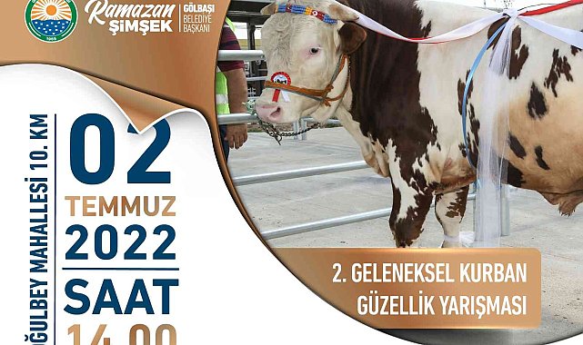 Gölbaşı Belediyesi'nden Kurban Güzellik Yarışması