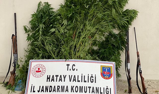 Hatay'da uyuşturucu operasyonu