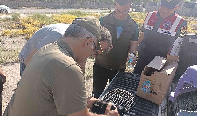 Iğdır'da ayağı ipe dolanan karga kurtarıldı