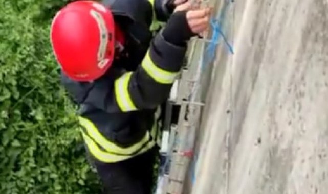 İtfaiye ekiplerinden 'tavuk kurtarma' operasyonu
