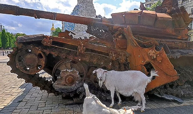 'Kiev’in keçisi' cephe hattına gidip tuzağı patlattı: 40 Rus askeri yaralandı!