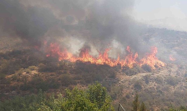 KKTC'deki orman yangınıyla mücadele devam ediyor