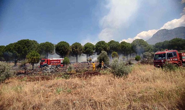 Köyceğiz'de orman yangını kısa sürede söndürüldü