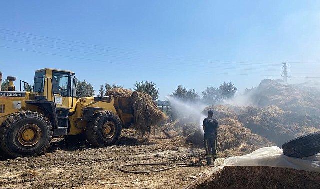 Manavgat'ta besihanede 3 bin ot balyası yandı