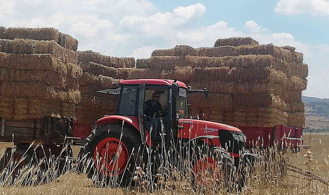 Manyas'ta saman balyaları depolara konuyor