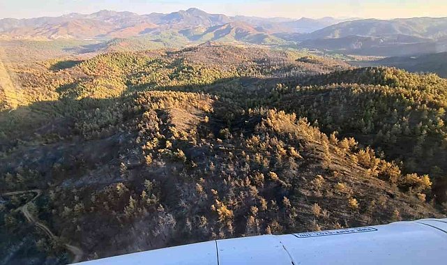 Marmaris yangını kısmen kontrol altında