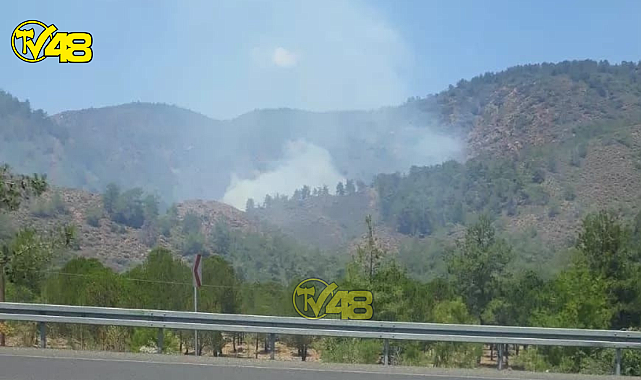 Muğla'da Yangın Kabusu Geri Mi Dönüyor
